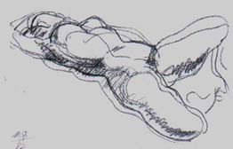 MG12.jpg (11646 bytes)